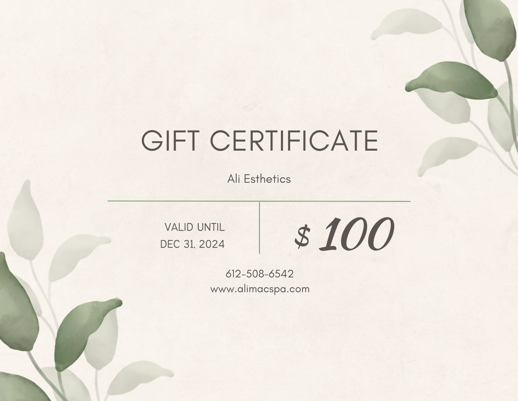 ali esthetics gift certificate st michael mn